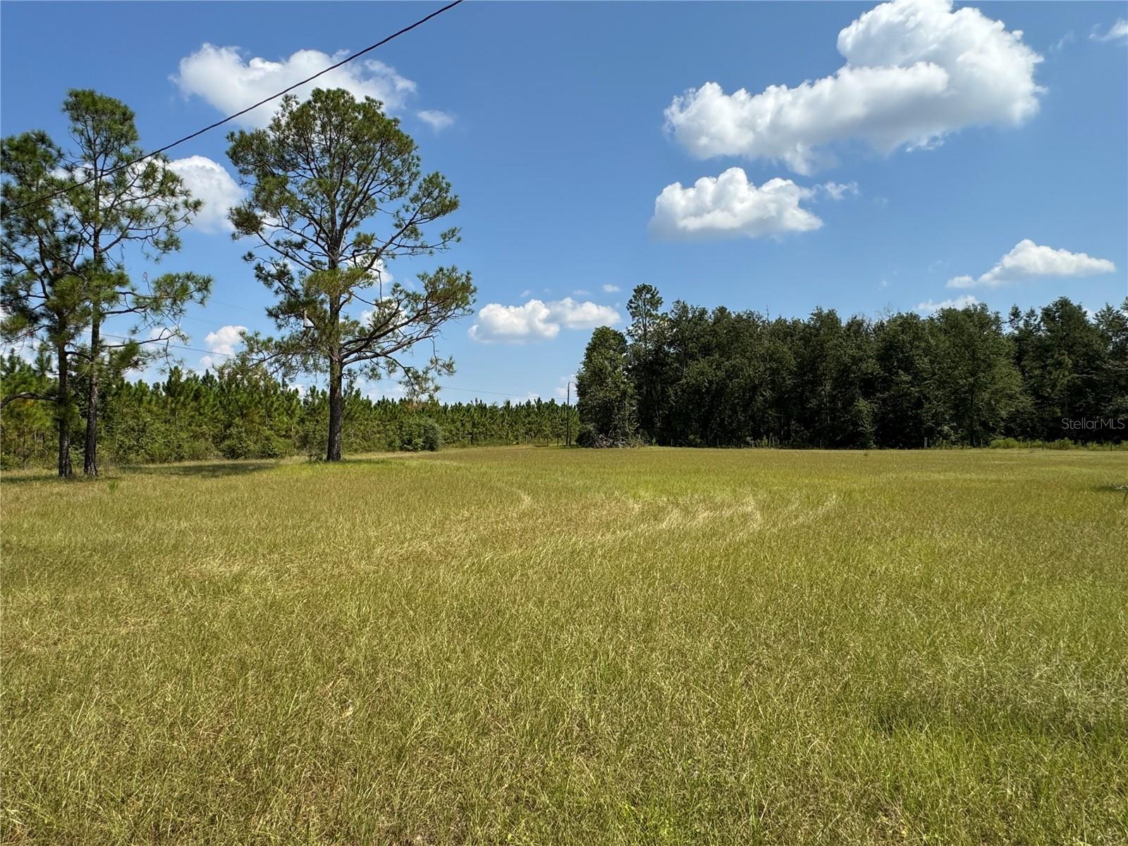 Image 78 of 79 For 6001 185th Road