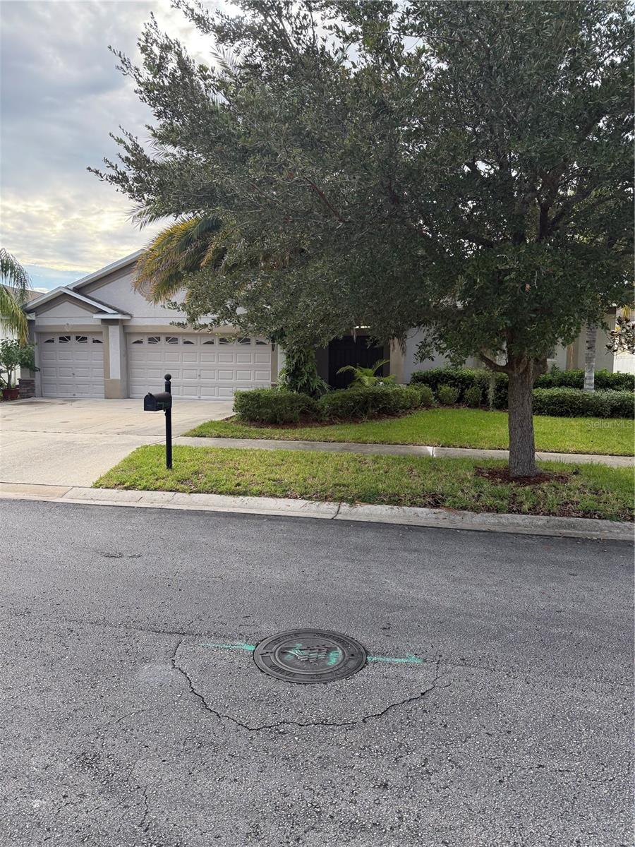 Image 2 of 50 For 20106 Blue Daze Avenue