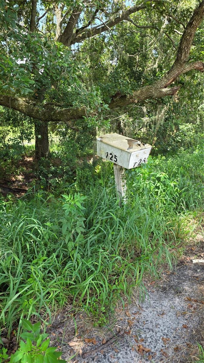 Image 38 of 40 For 725 Hickory Hammock Road