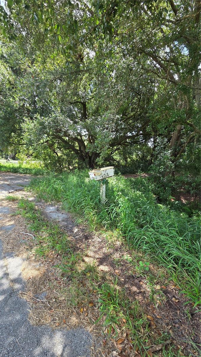 Image 39 of 40 For 725 Hickory Hammock Road