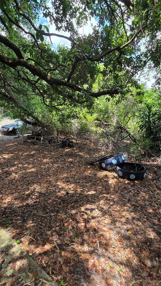 Image 5 of 40 For 725 Hickory Hammock Road