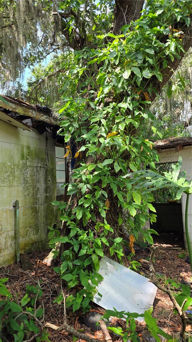 Image 8 of 40 For 725 Hickory Hammock Road