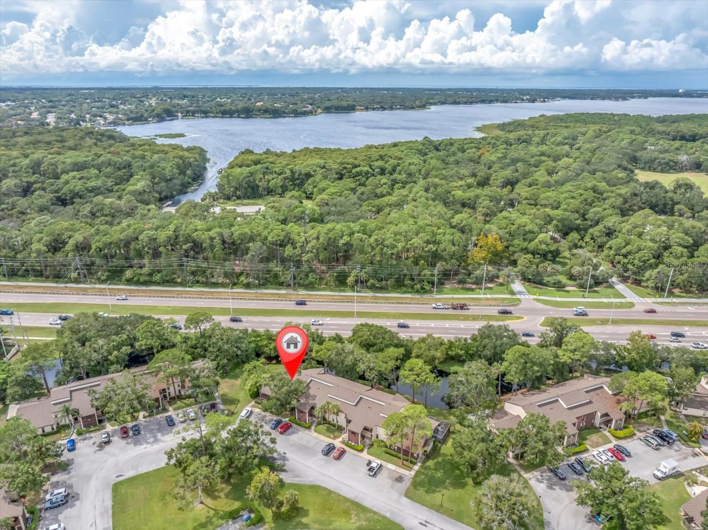Details for 1200 Tarpon Woods Boulevard N10, PALM HARBOR, FL 34685