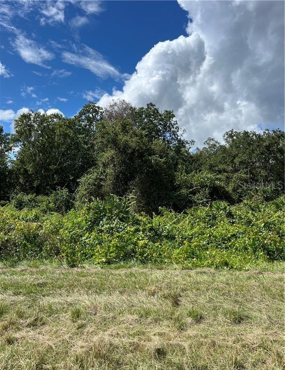 Details for 1130 Gabriel Road, AVON PARK, FL 33825