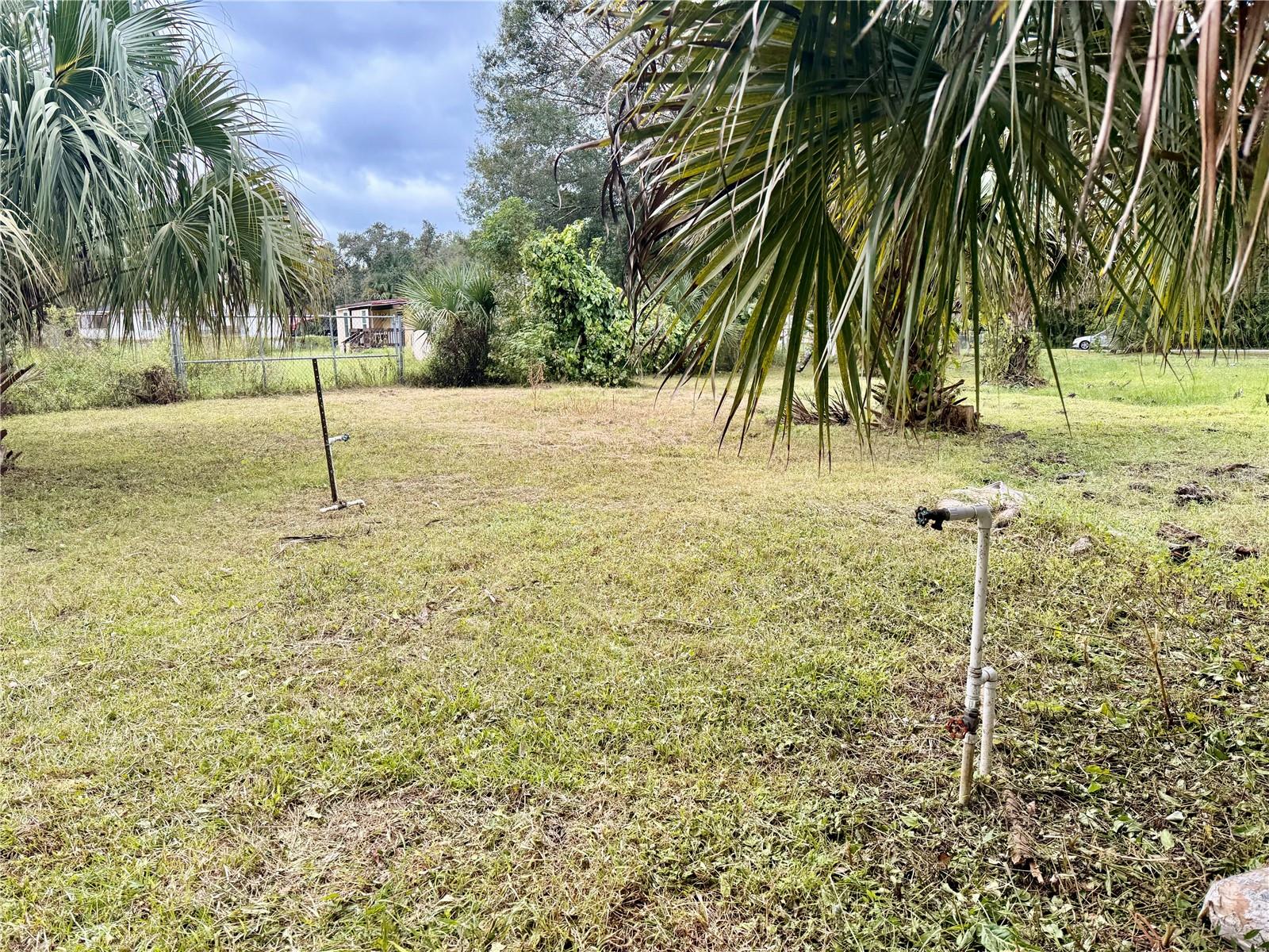 Image 11 of 17 For 1003 Saint Catherine Avenue