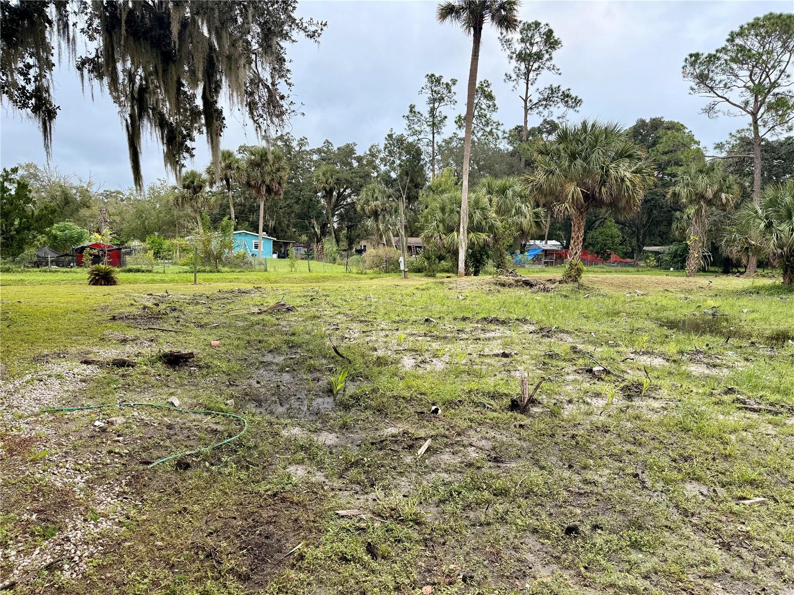 Image 12 of 17 For 1003 Saint Catherine Avenue