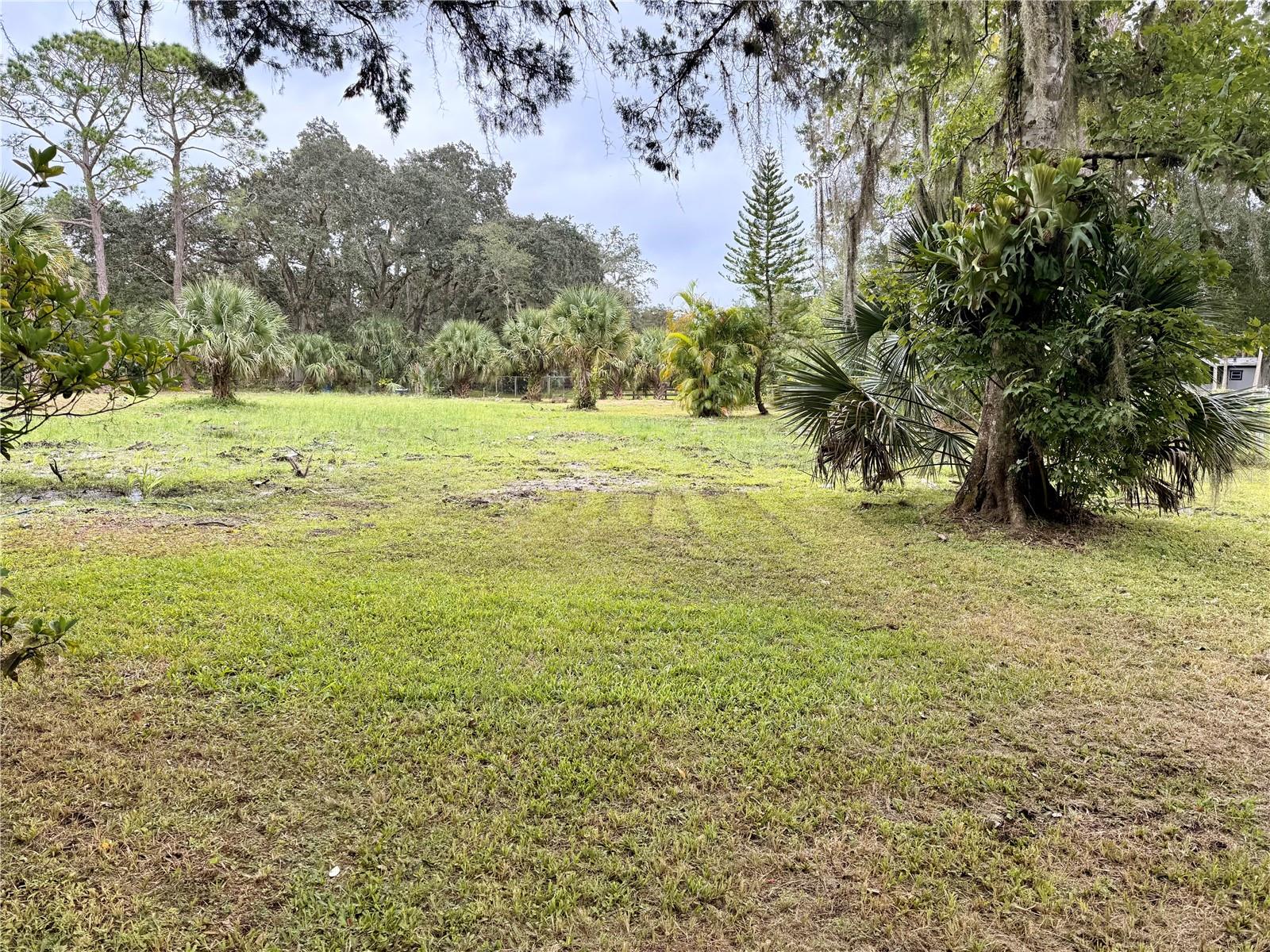 Image 13 of 17 For 1003 Saint Catherine Avenue