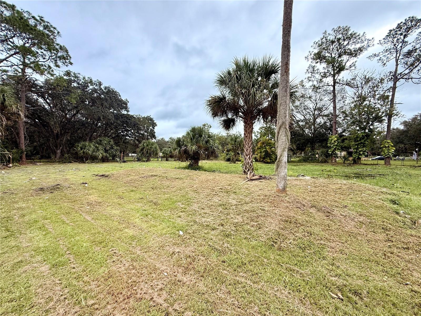 Image 5 of 17 For 1003 Saint Catherine Avenue