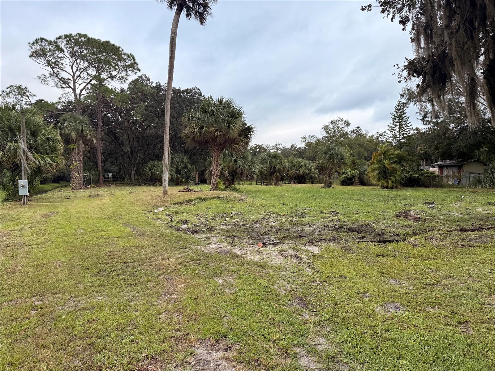 Image 7 of 17 For 1003 Saint Catherine Avenue