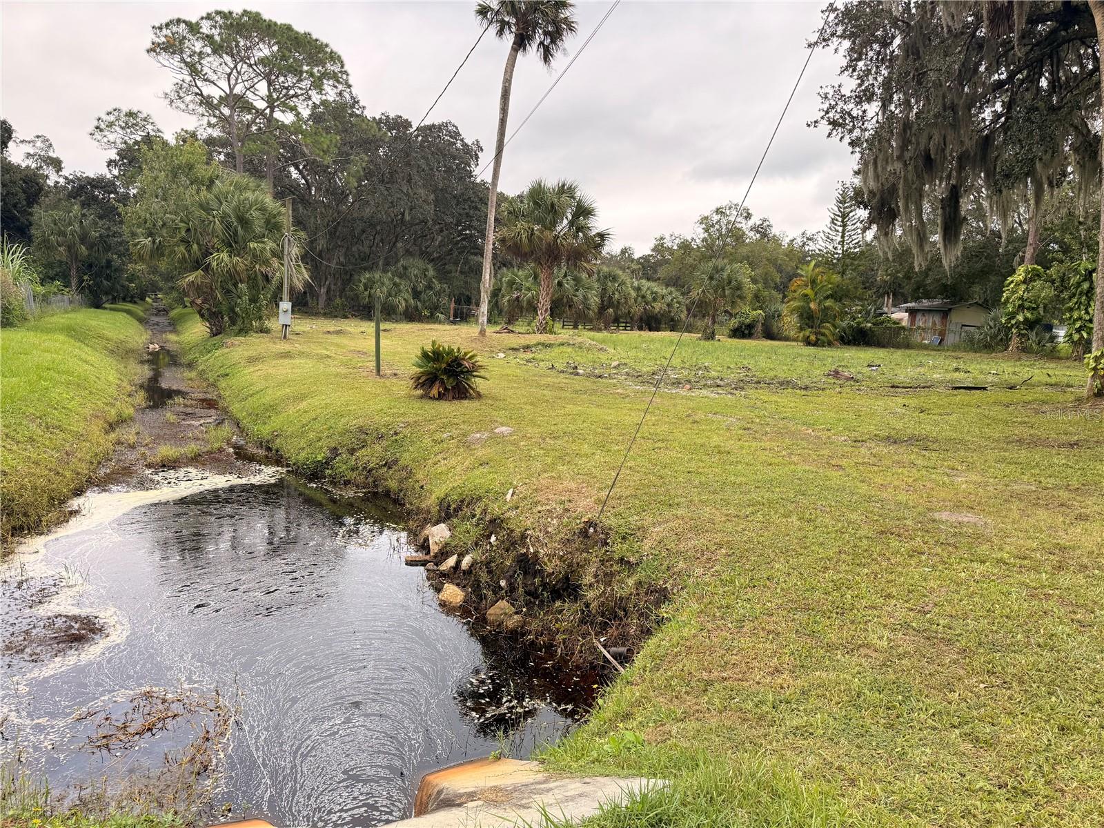 Image 8 of 17 For 1003 Saint Catherine Avenue