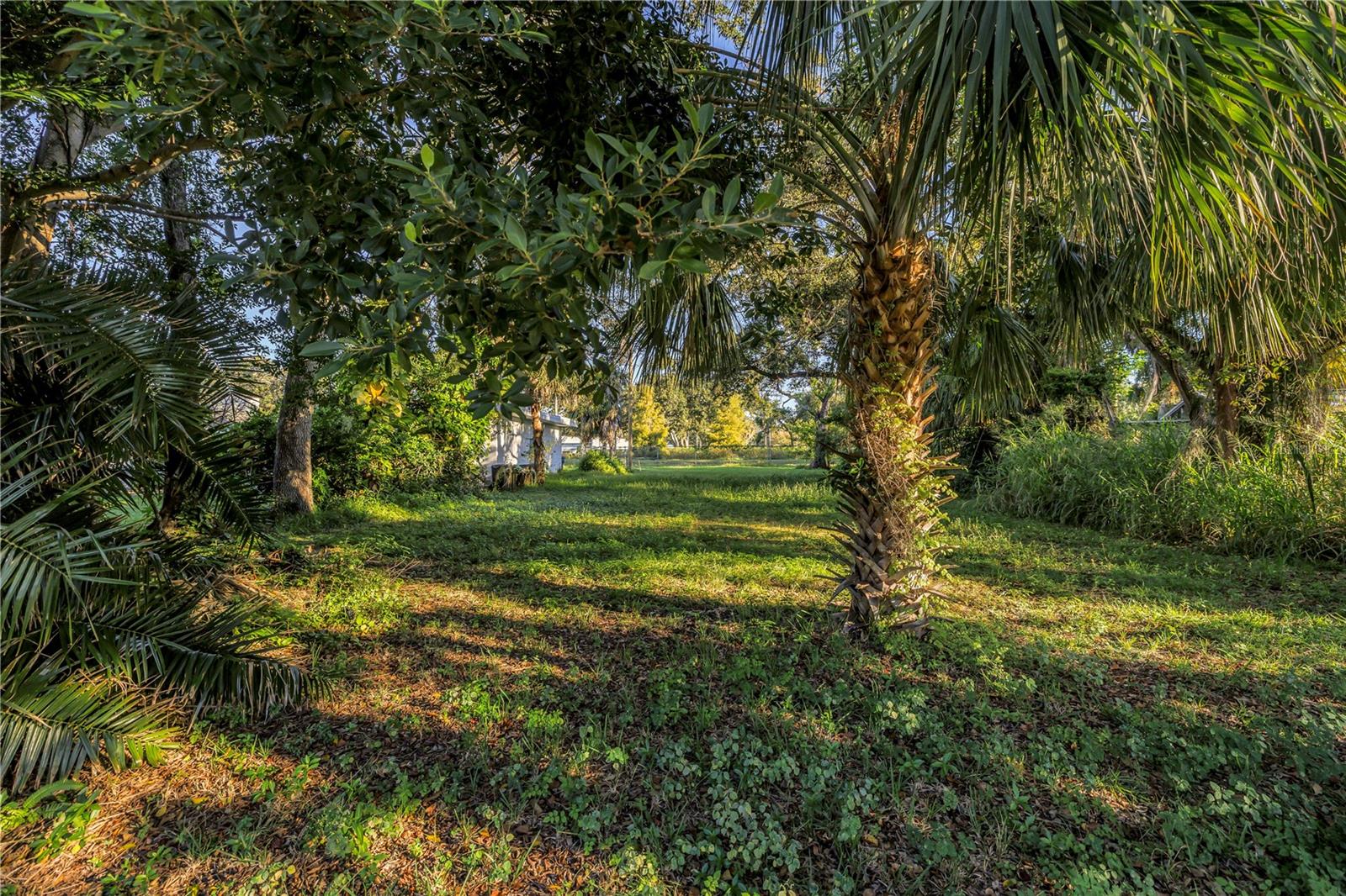 Image 9 of 24 For 2321 25th Avenue S