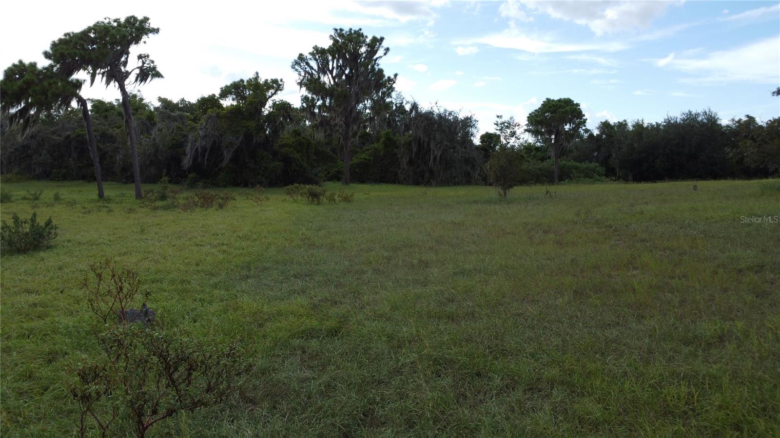 Image 11 of 21 For 742 Lake Reedy Boulevard