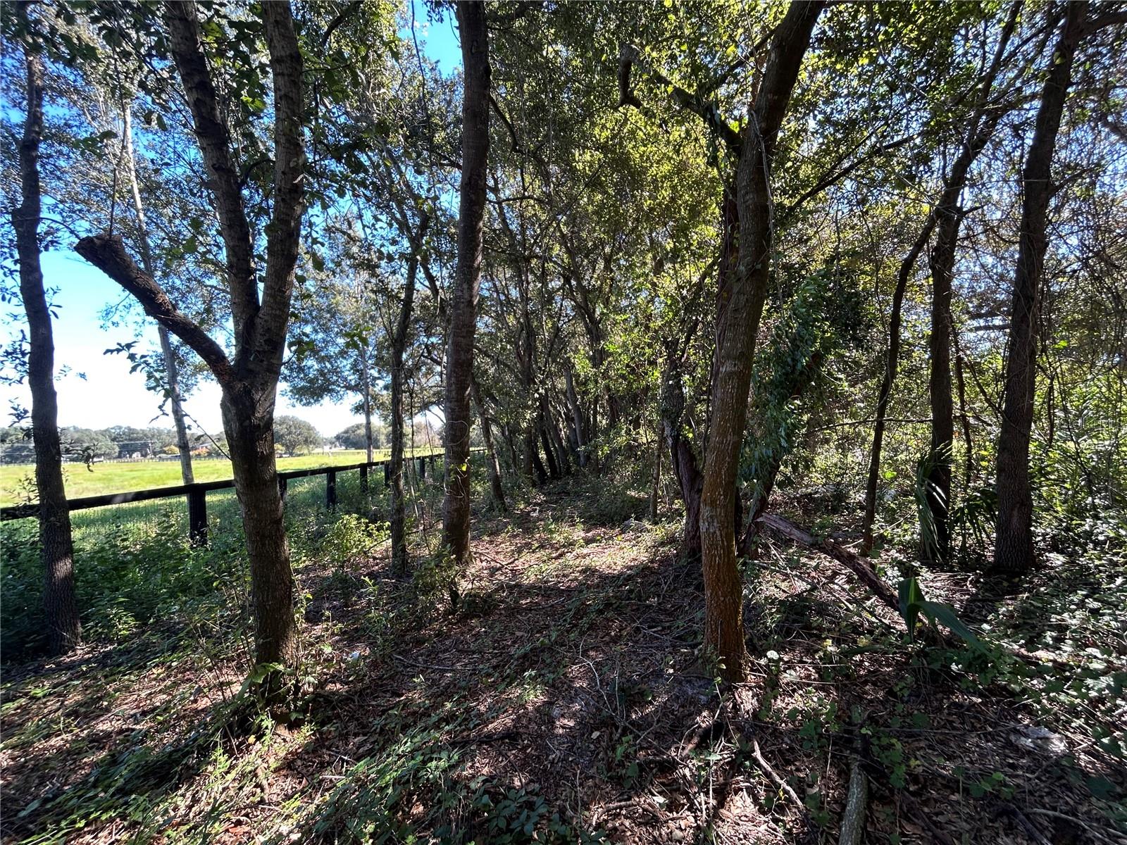 Image 19 of 30 For 9720 Road 33