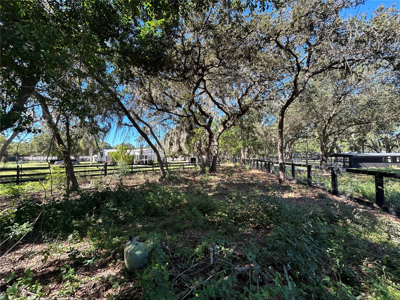 Image 20 of 30 For 9720 Road 33