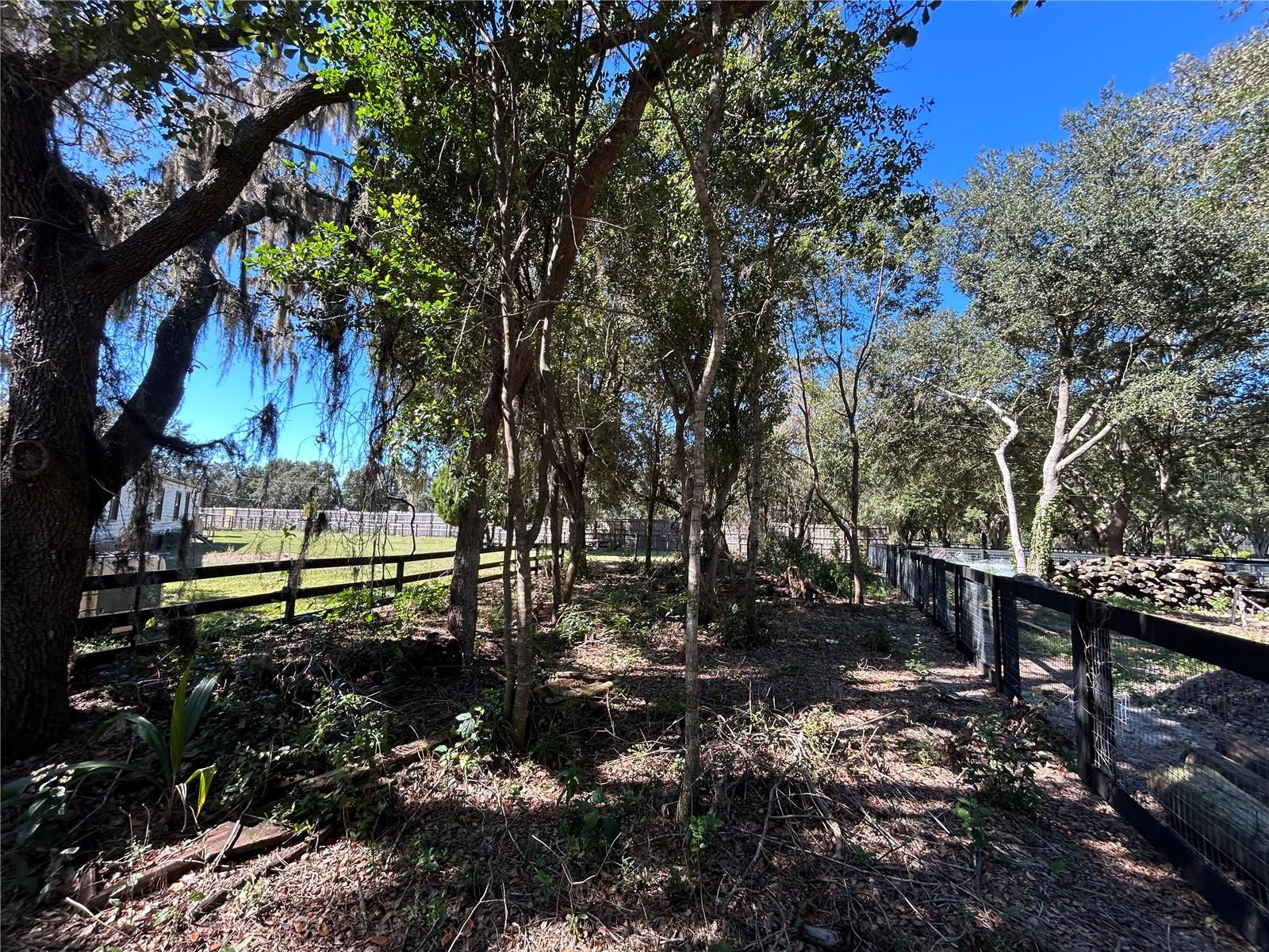 Image 21 of 30 For 9720 Road 33