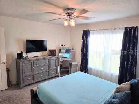 Image 5 of 16 For 1241 Denali Drive