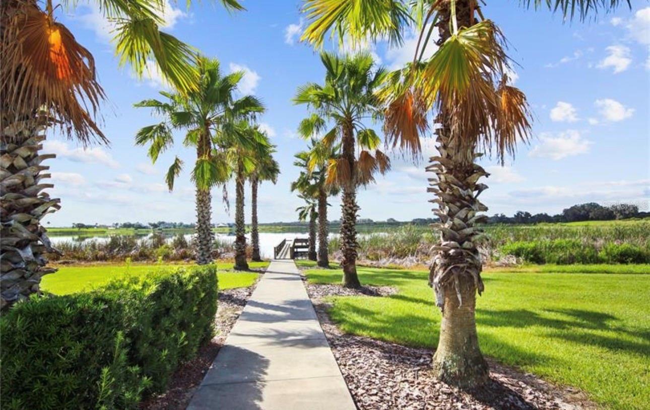 Image 15 of 20 For 808 Waterfern Trail Drive