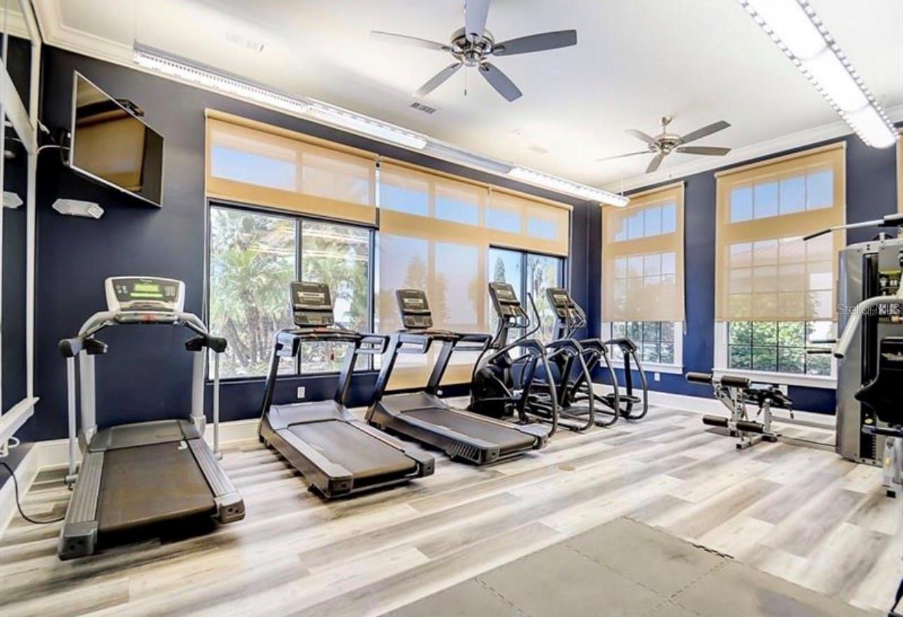 Image 7 of 20 For 808 Waterfern Trail Drive