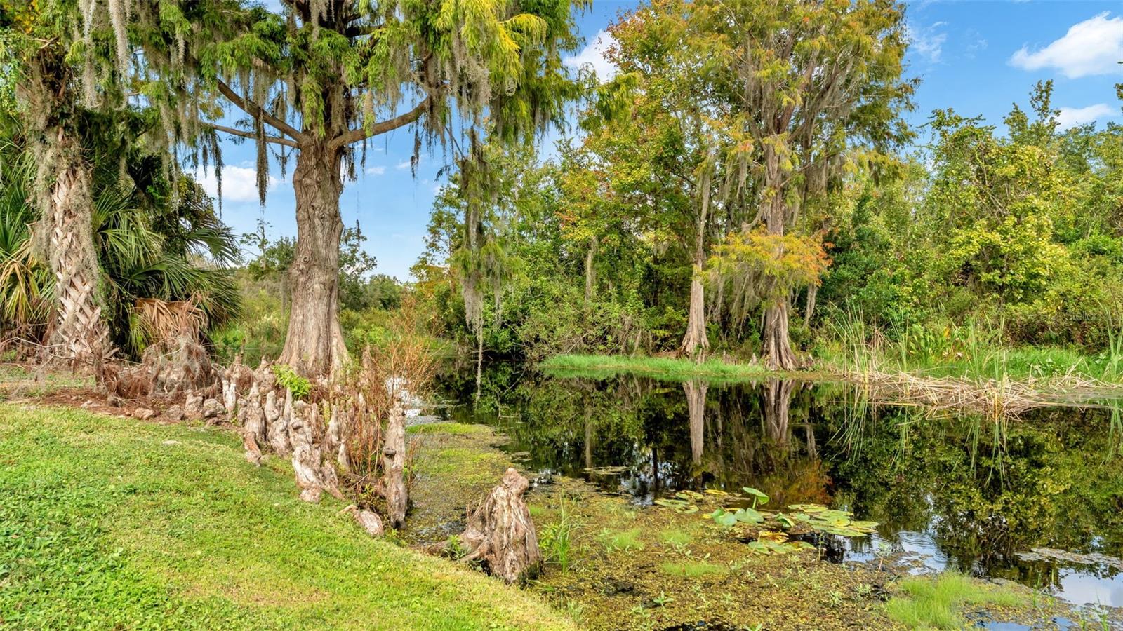 Image 81 of 85 For 237 Kent Court