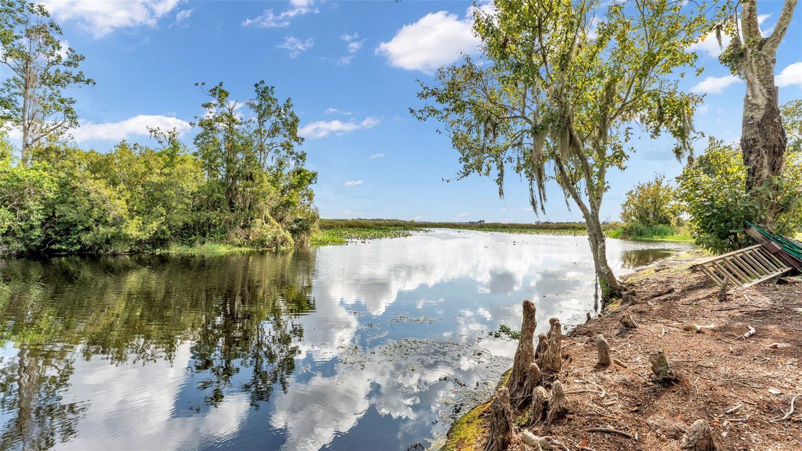 Image 82 of 85 For 237 Kent Court