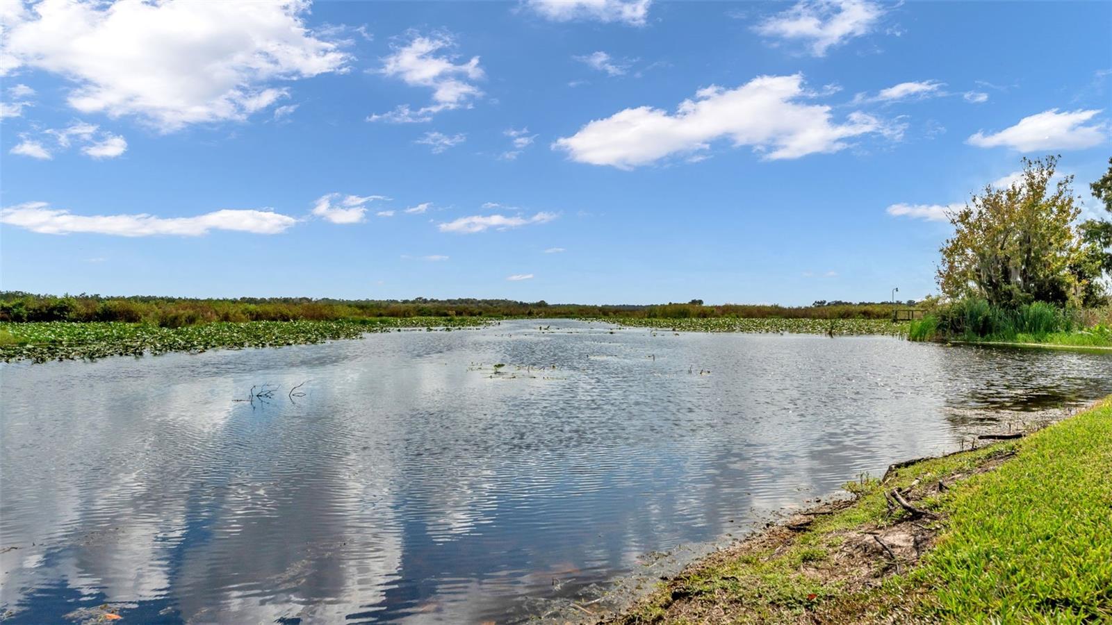 Image 83 of 85 For 237 Kent Court