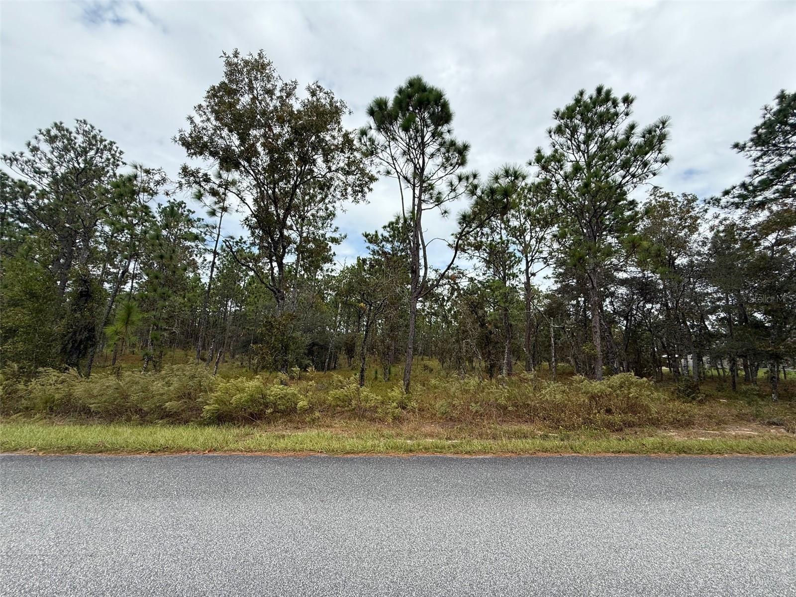 Details for Nw Amberjack Avenue, DUNNELLON, FL 34431