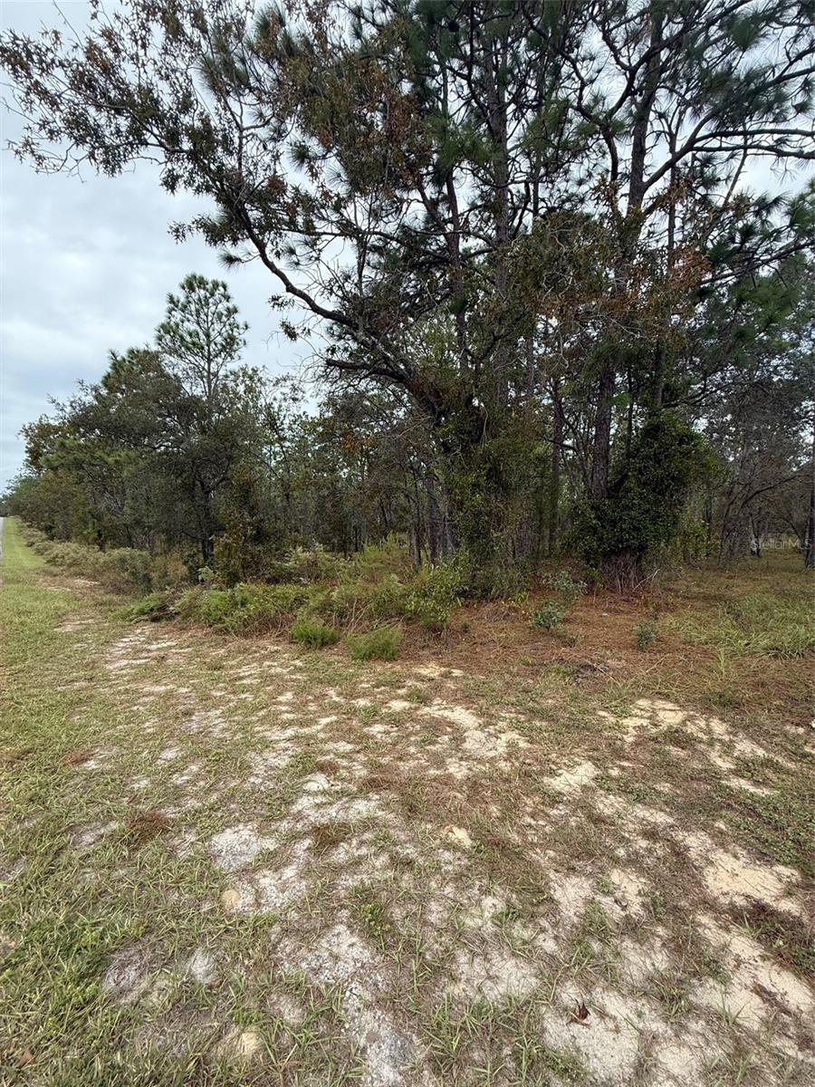 Image 3 of 6 For Nw Amberjack Avenue