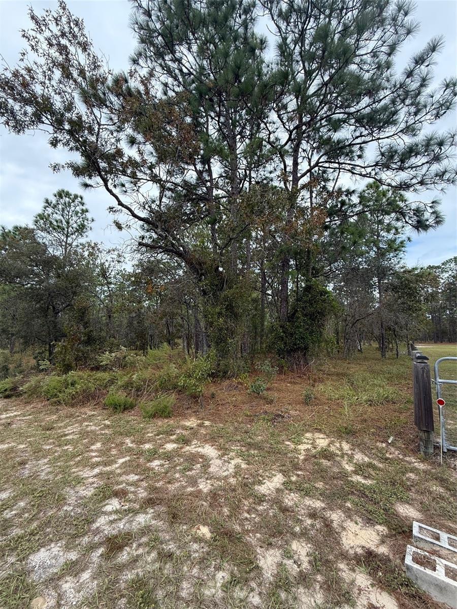 Image 4 of 6 For Nw Amberjack Avenue