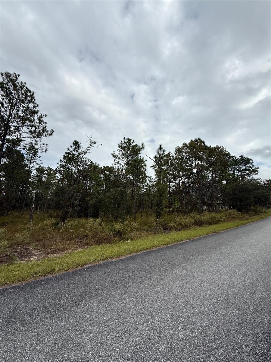 Image 5 of 6 For Nw Amberjack Avenue