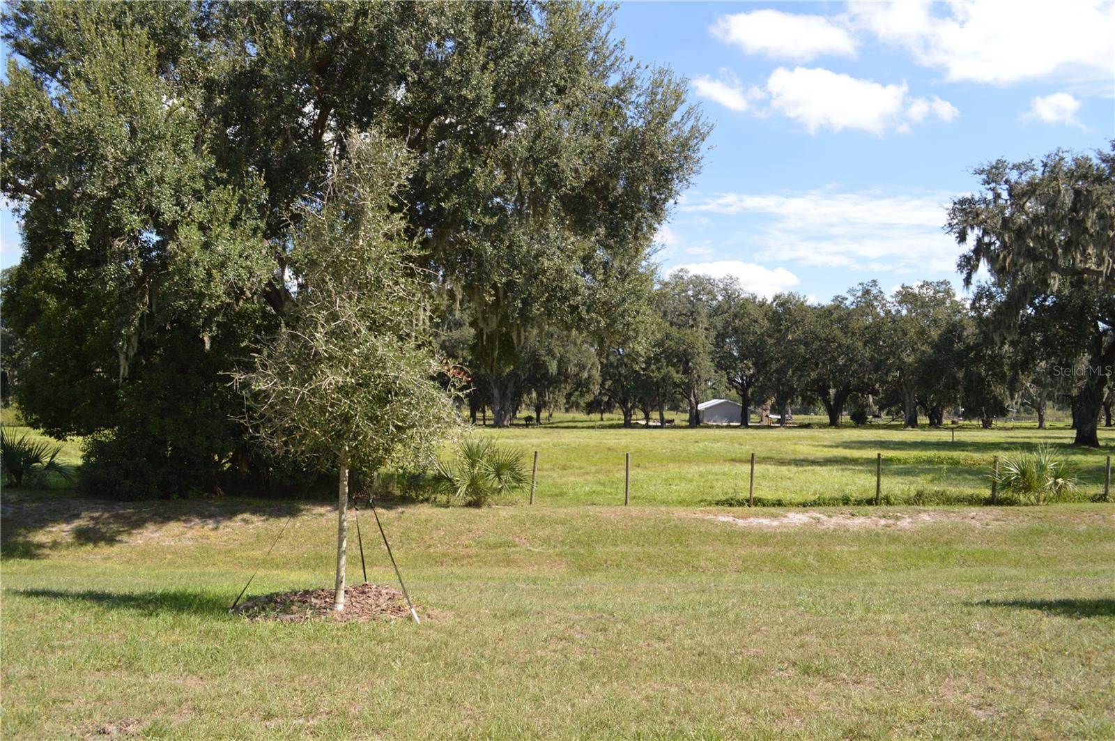 Image 8 of 8 For 4054 Collegiate Boulevard