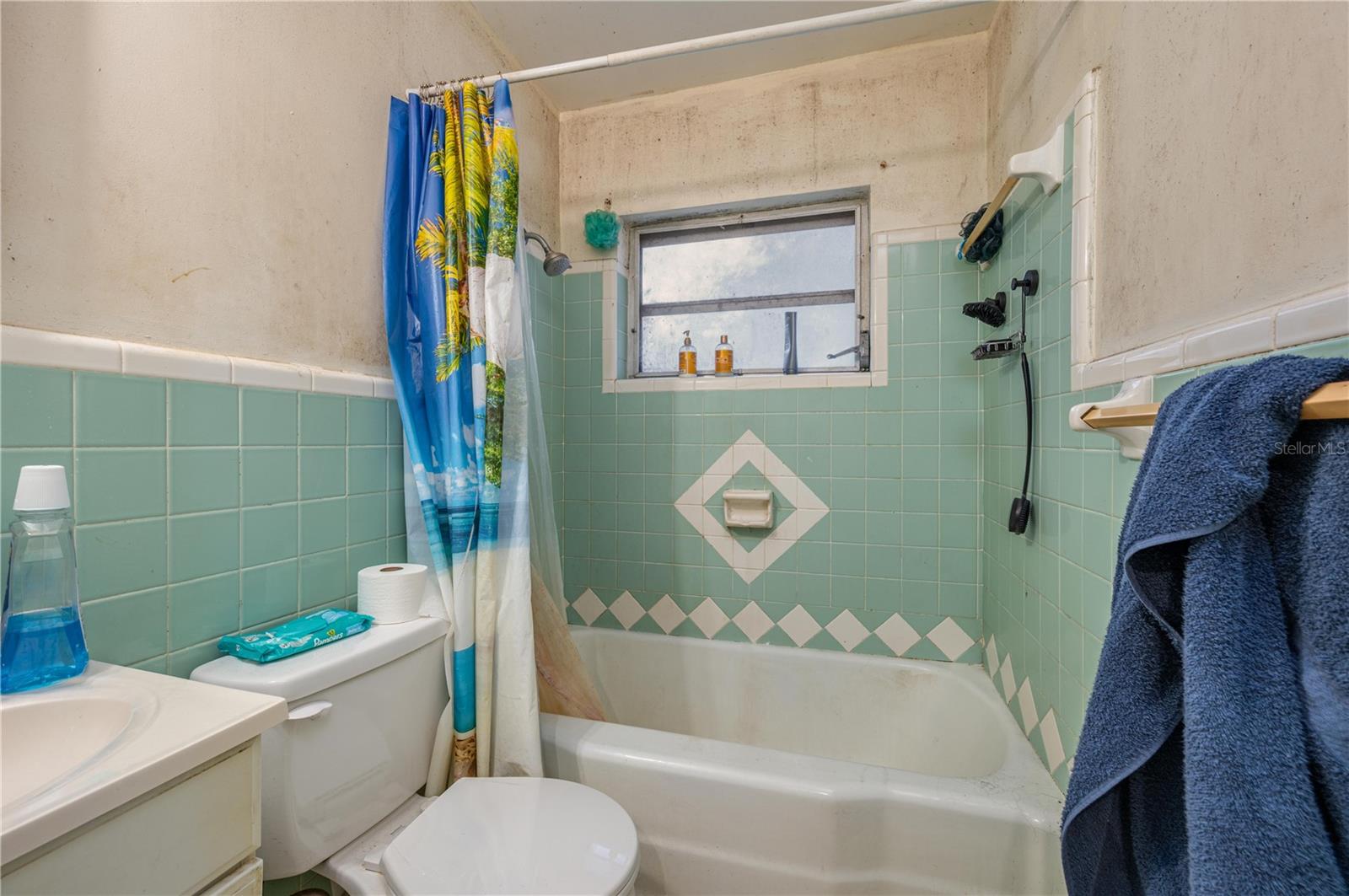 Image 10 of 20 For 207 Moss Road W