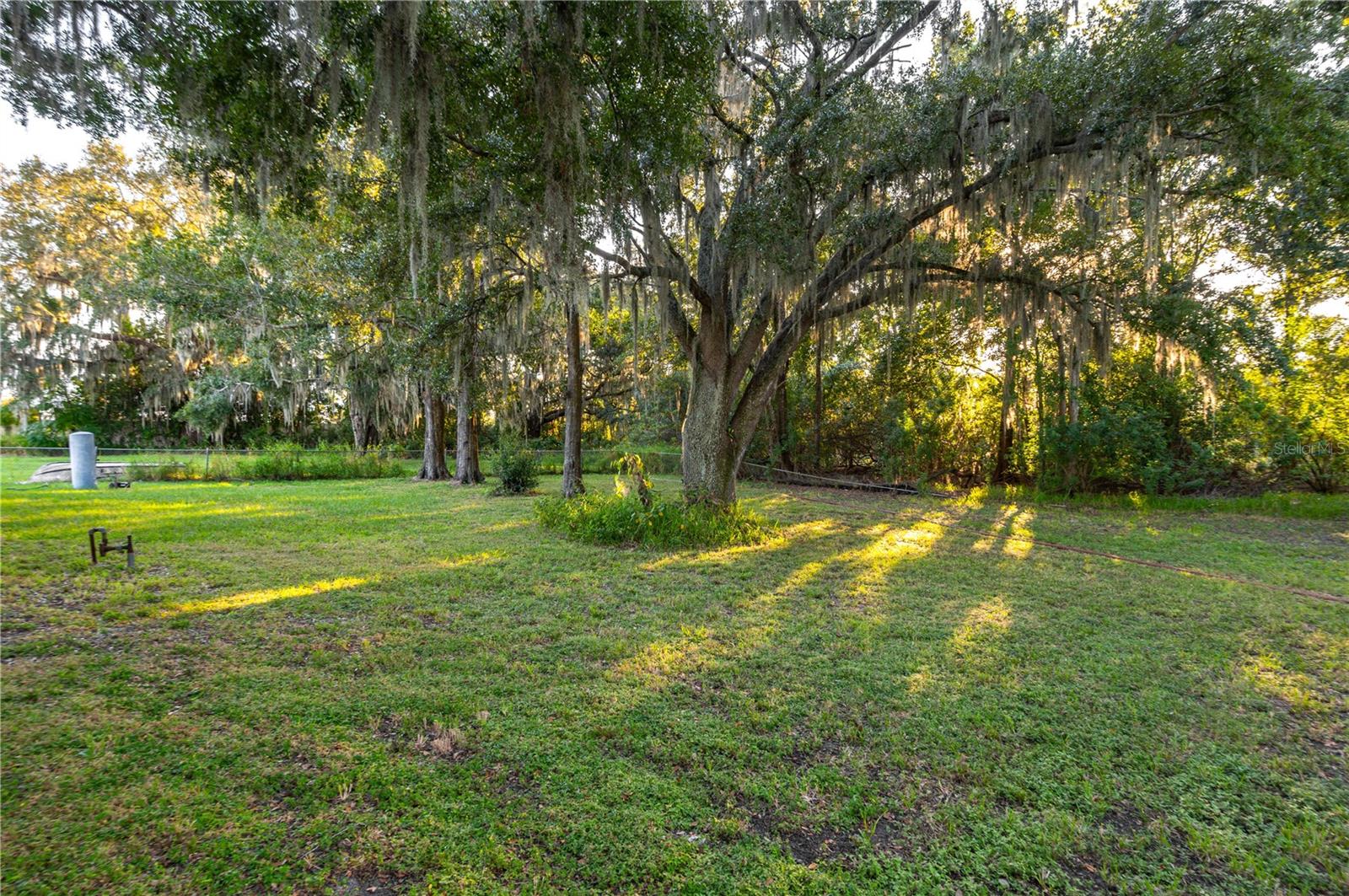 Image 15 of 20 For 207 Moss Road W