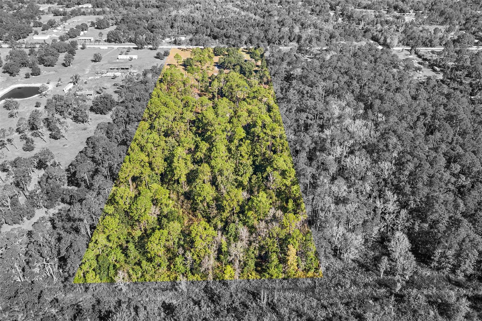 Image 11 of 19 For 1405 Fazzini Drive