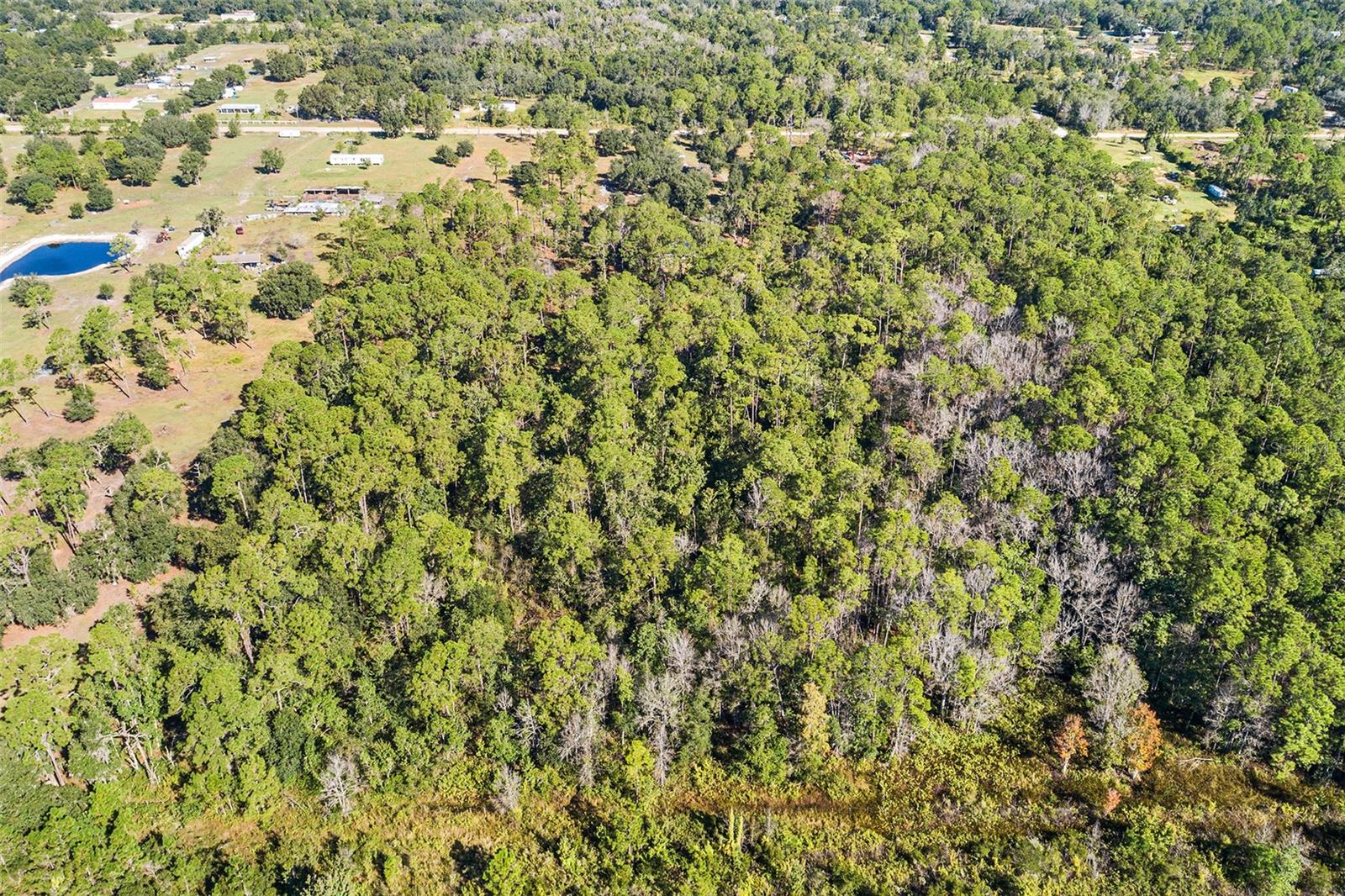 Image 12 of 19 For 1405 Fazzini Drive