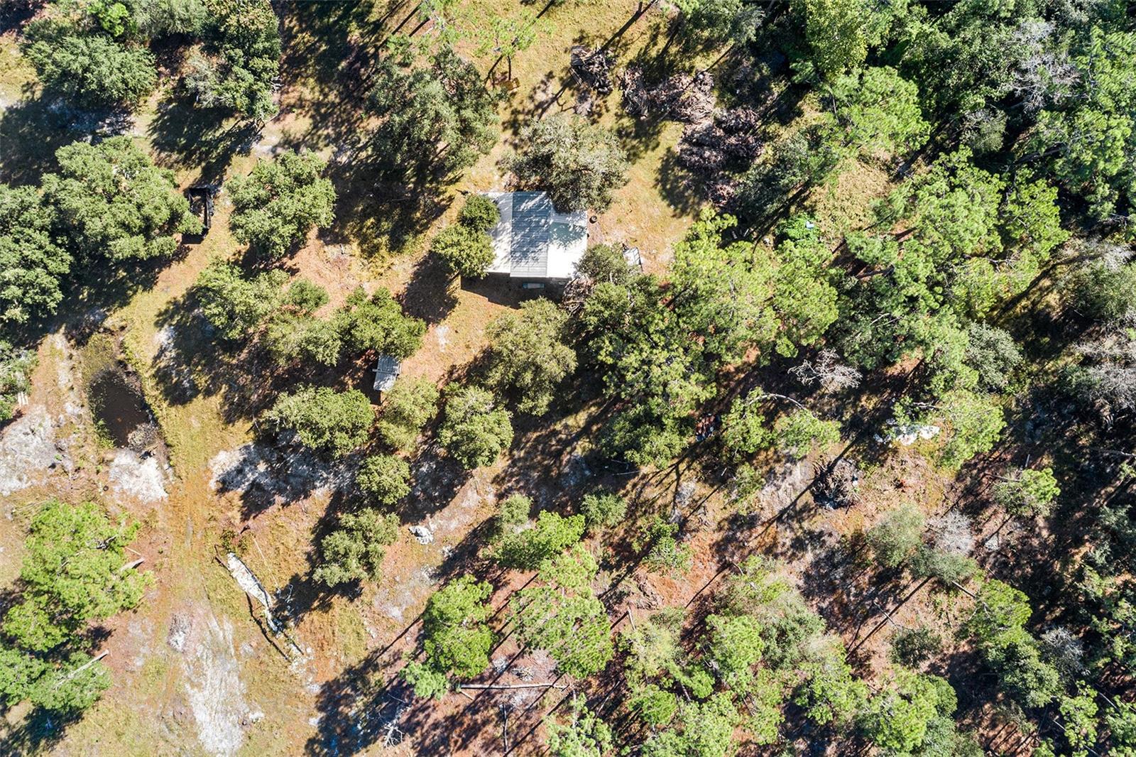 Image 13 of 19 For 1405 Fazzini Drive