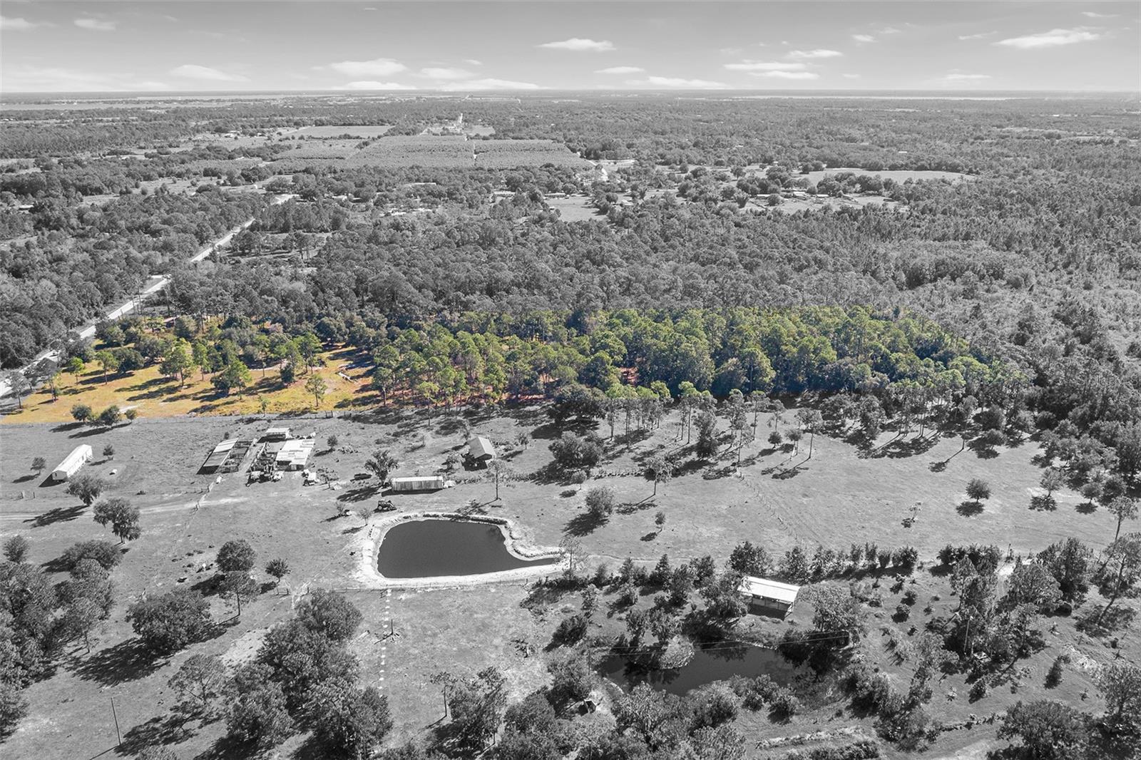 Image 9 of 19 For 1405 Fazzini Drive