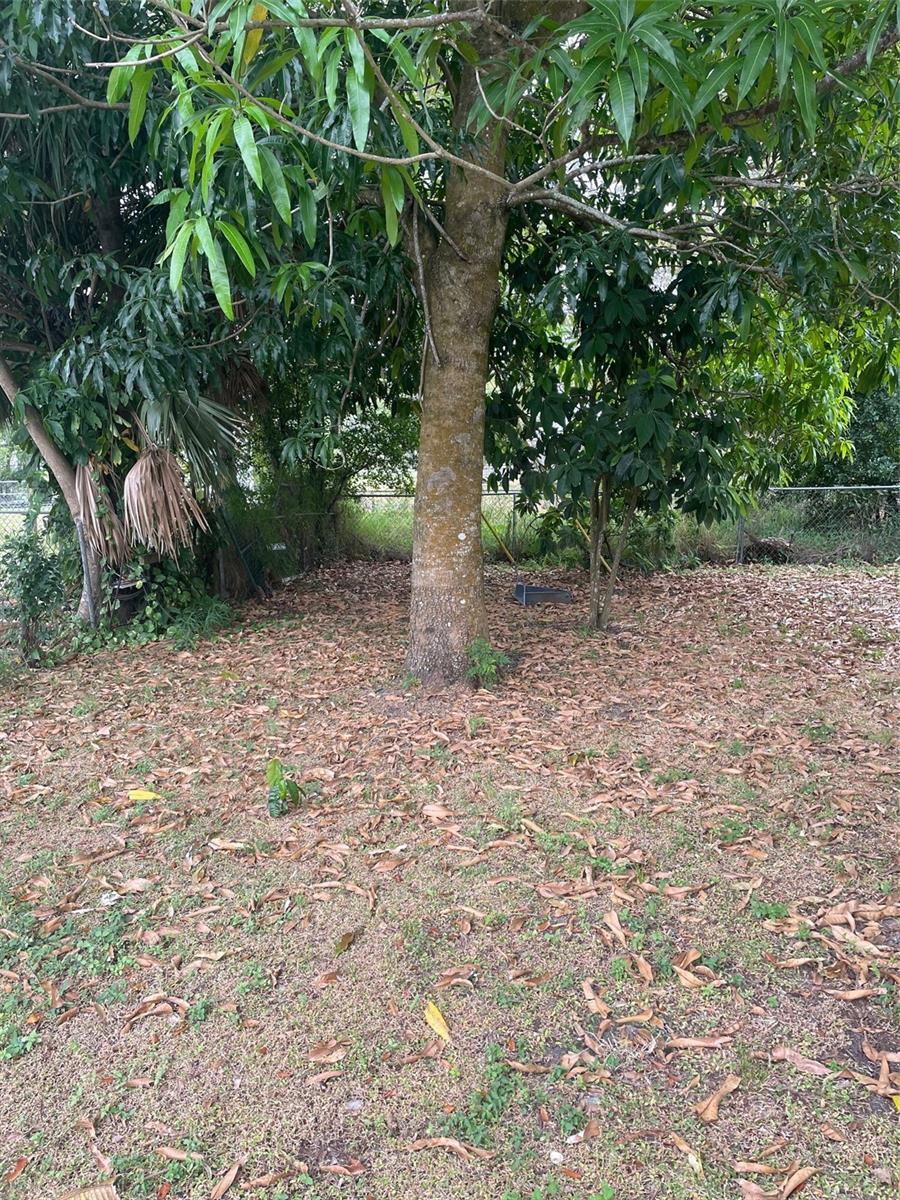 Image 21 of 22 For 135 Orange Street