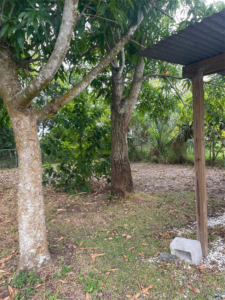 Image 22 of 22 For 135 Orange Street