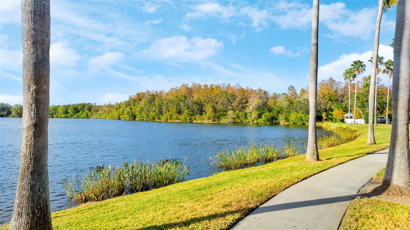 Image 19 of 22 For 10806 Spring Mountain Place