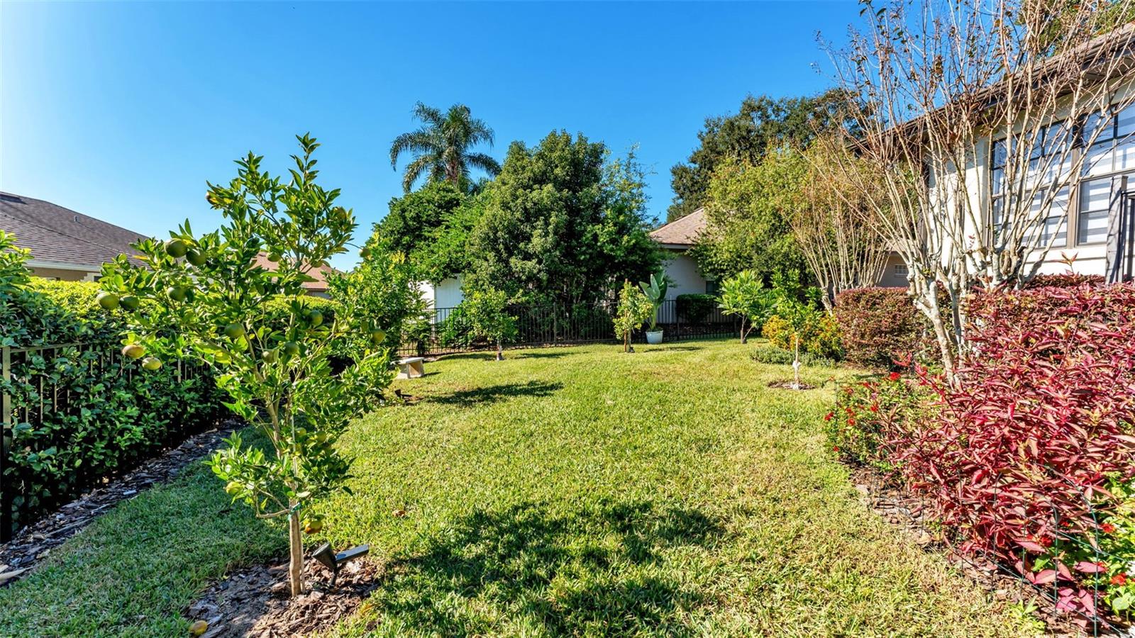 Image 48 of 57 For 2104 Longleaf Circle