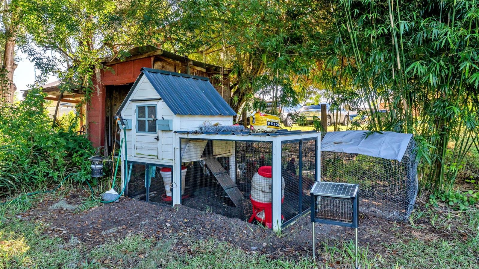 Image 48 of 60 For 1586 Martin Luther King Boulevard Ne