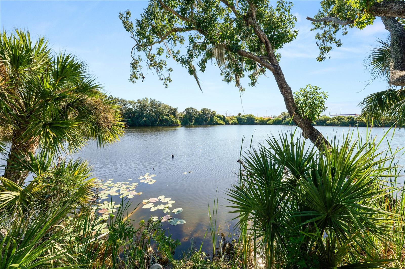 Image 76 of 100 For 109 4th Avenue