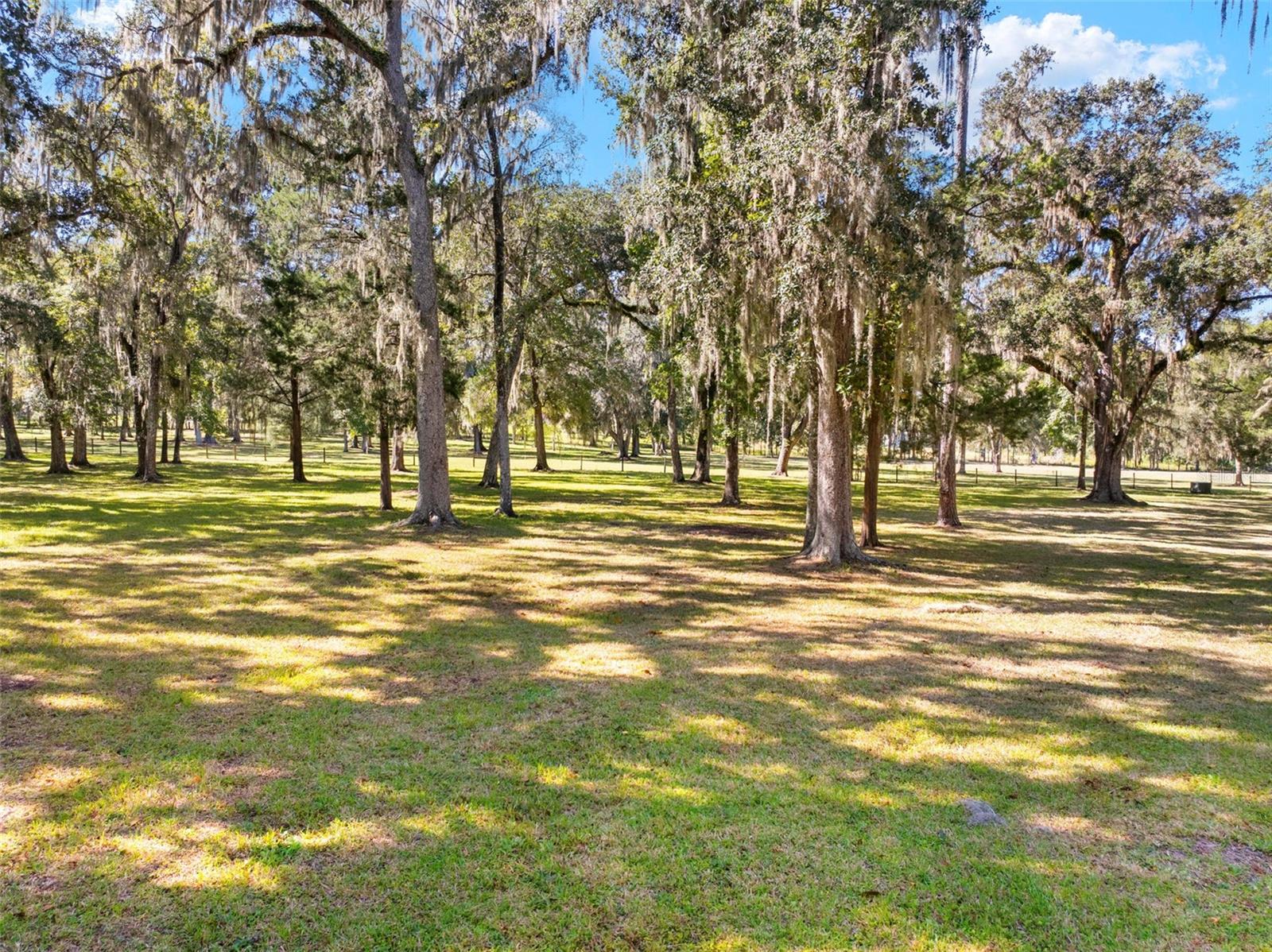 Listing photo id 64 for 23245 Croom Road