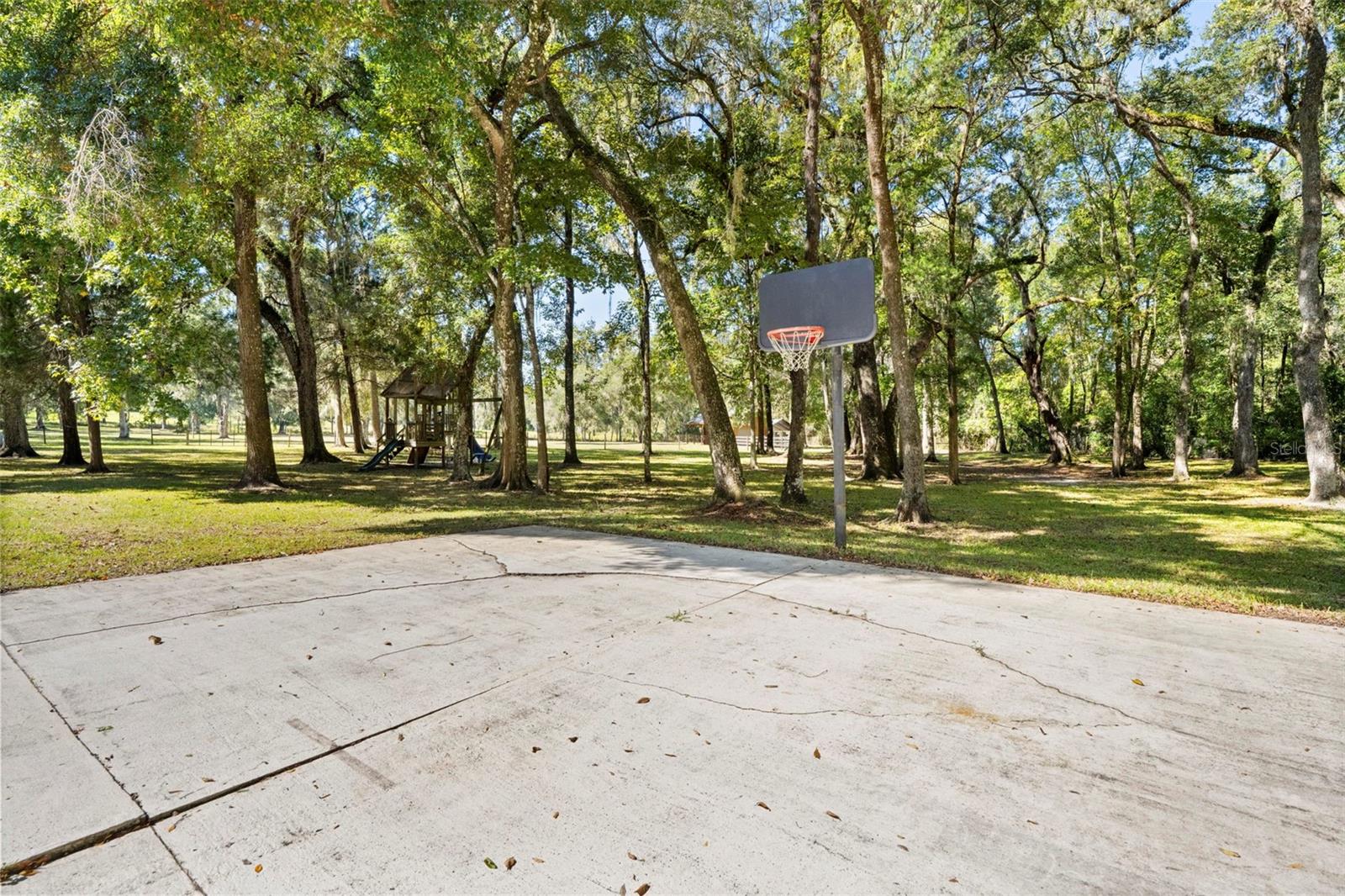 Listing photo id 65 for 23245 Croom Road