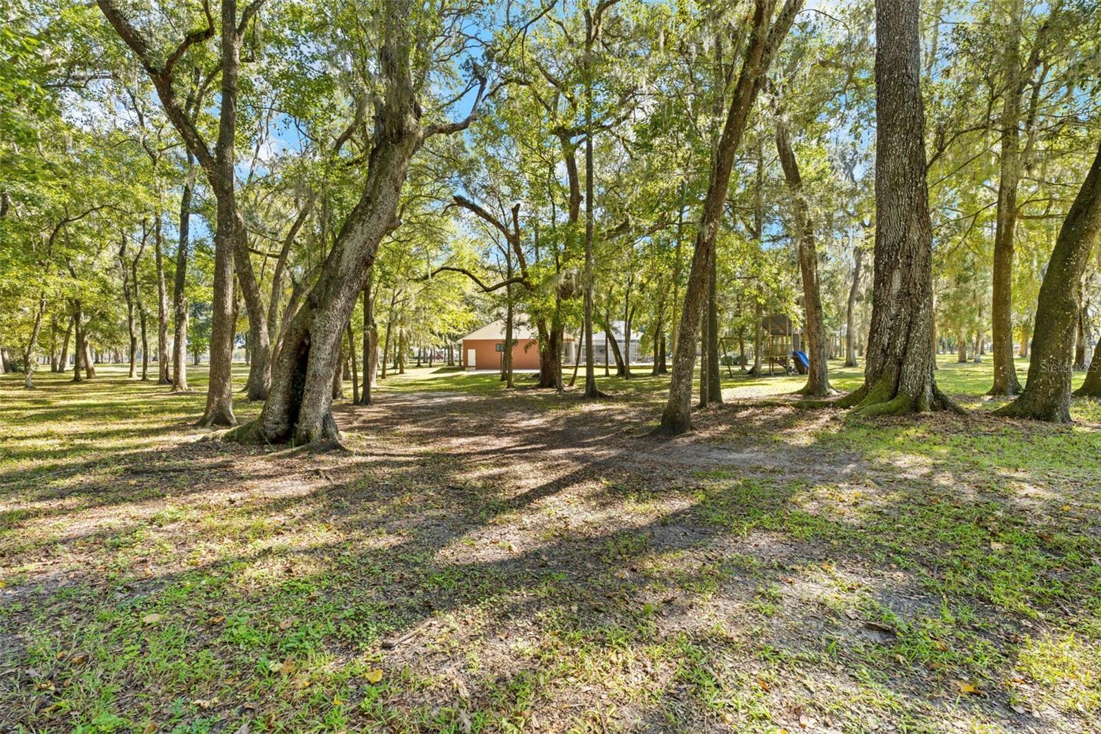Listing photo id 71 for 23245 Croom Road