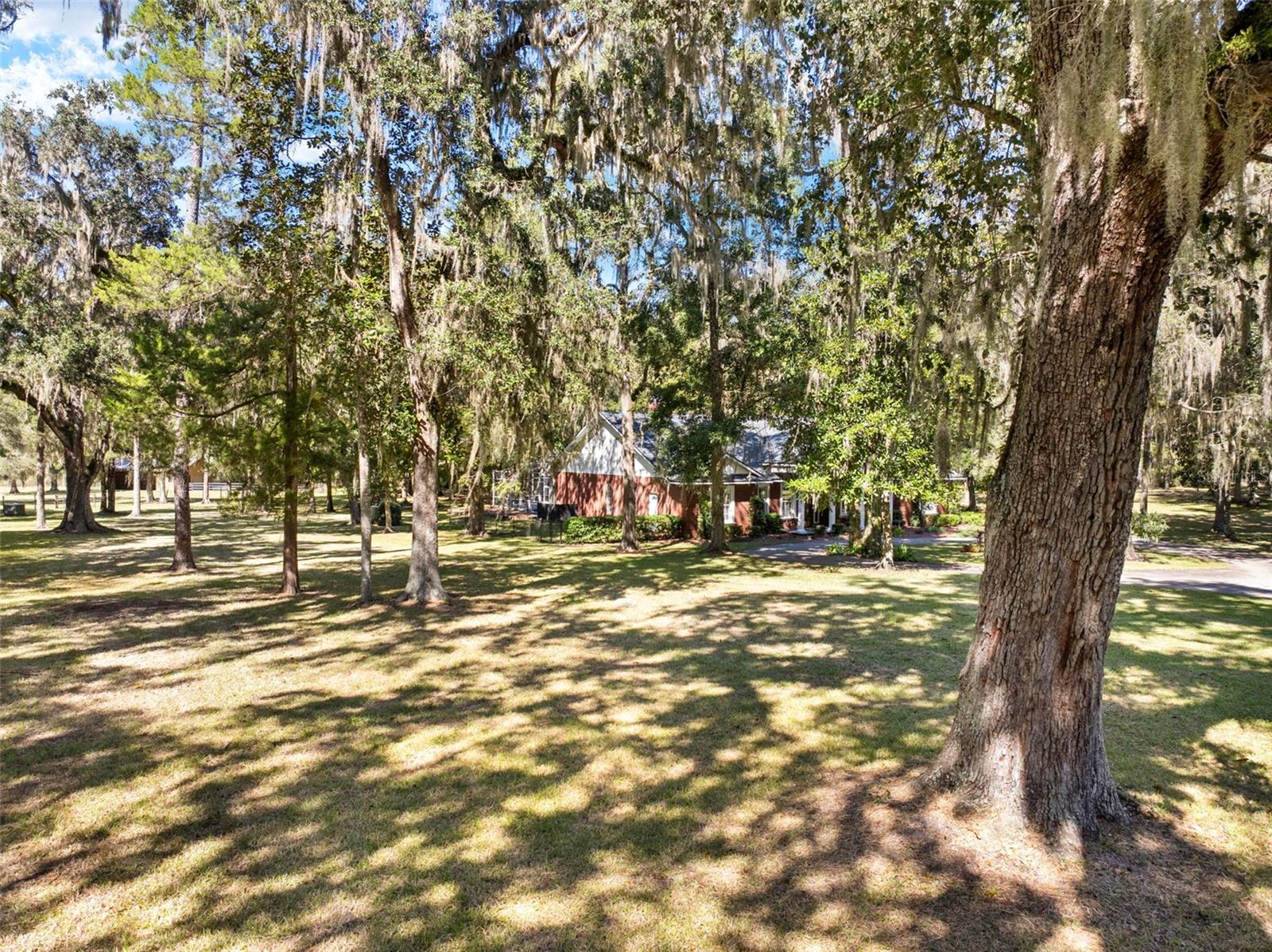 Listing photo id 72 for 23245 Croom Road