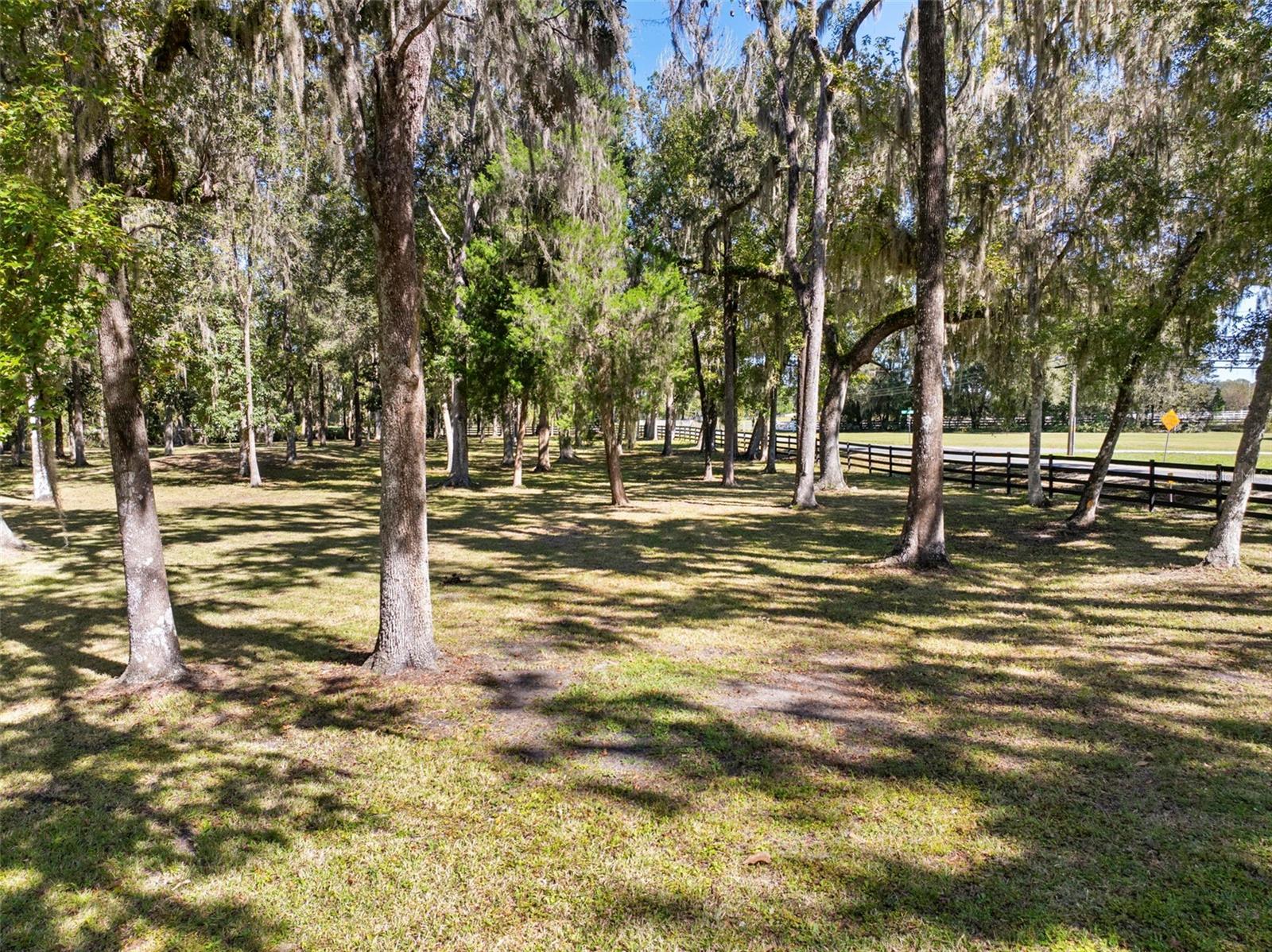 Listing photo id 73 for 23245 Croom Road