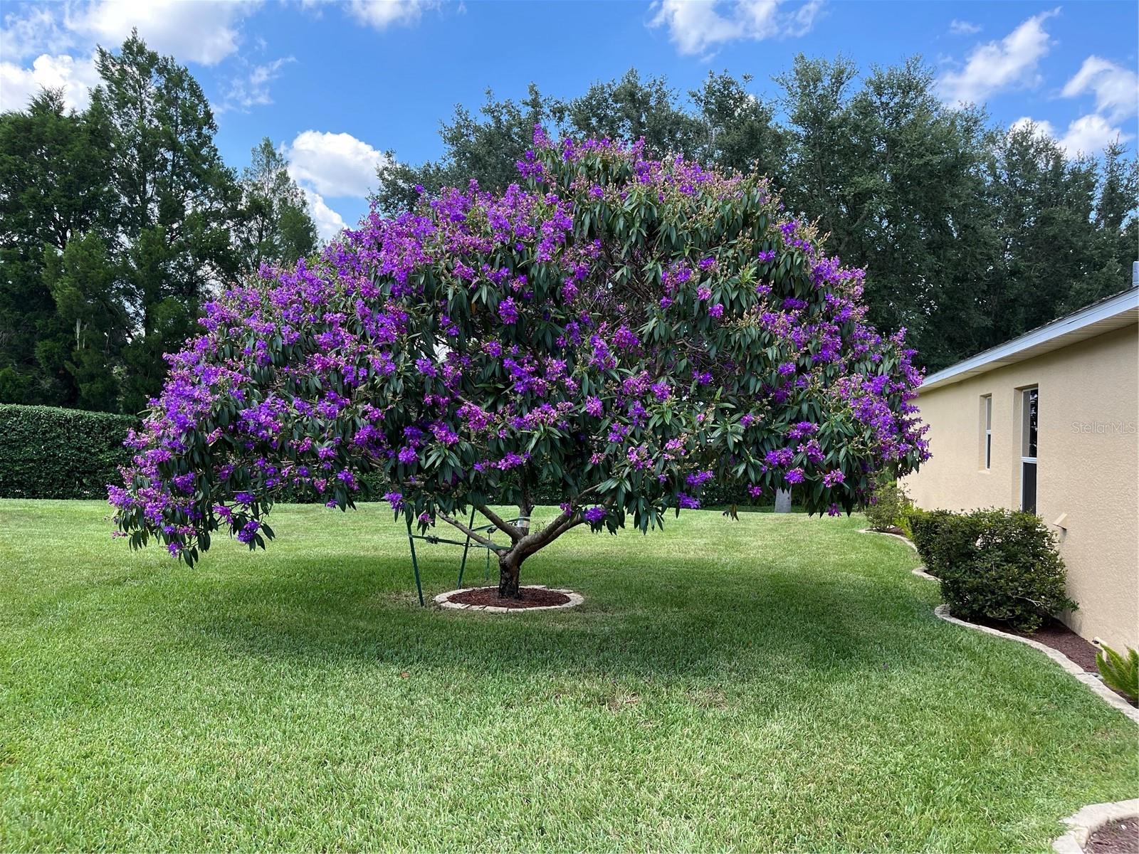 Image 5 of 80 For 4016 Carteret Drive