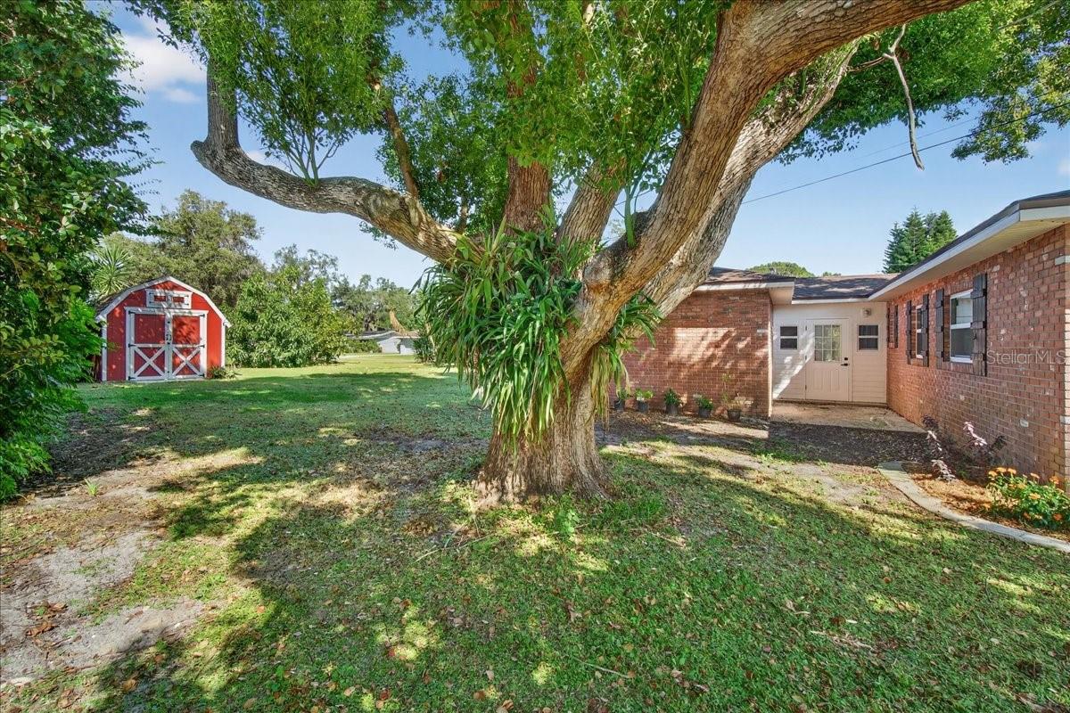 Image 5 of 43 For 234 Coleman Drive E