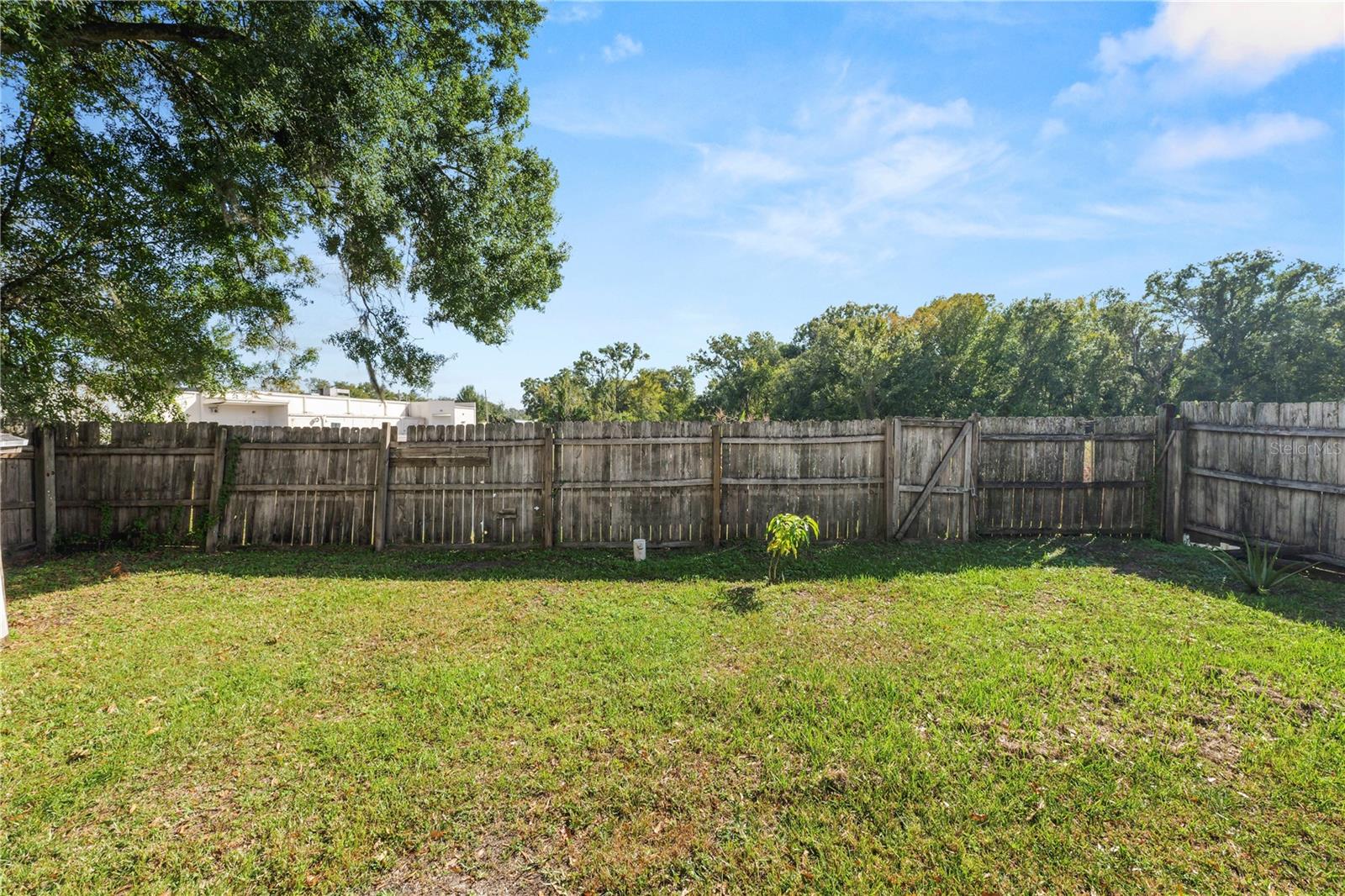 Listing photo id 24 for 503 Renfro Street